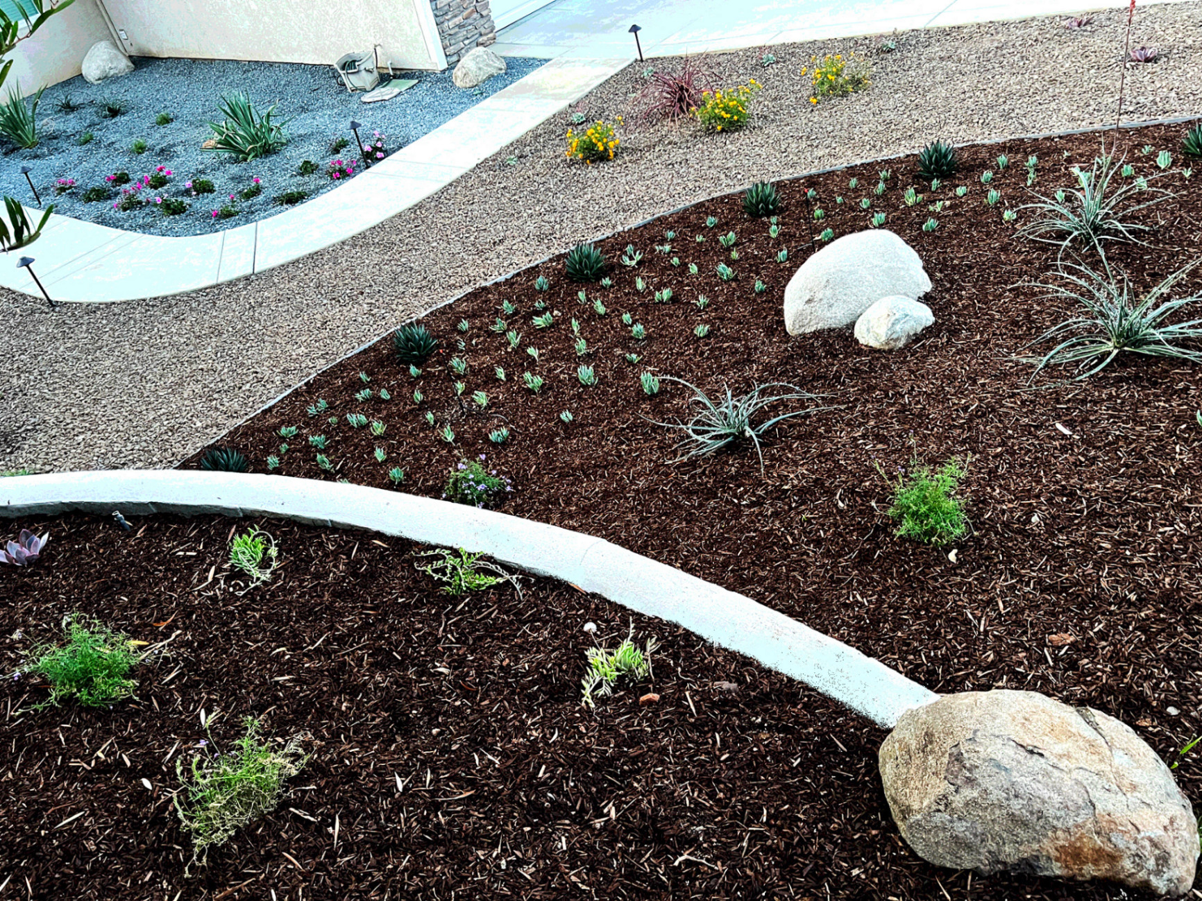 'Flowing Harmony' in Poway installed landscape - Poway, San Diego