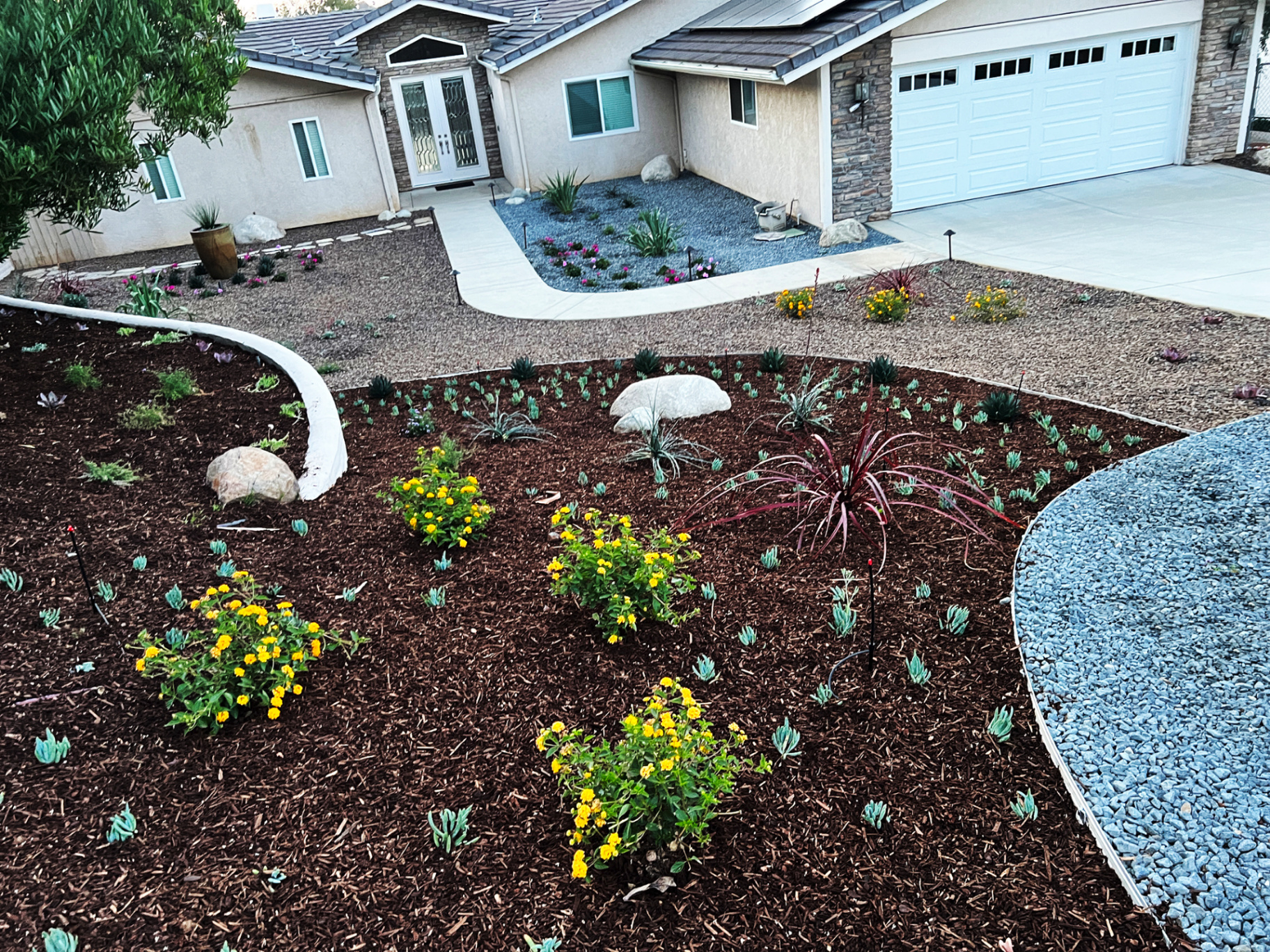 'Flowing Harmony' in Poway installed landscape - Poway, San Diego