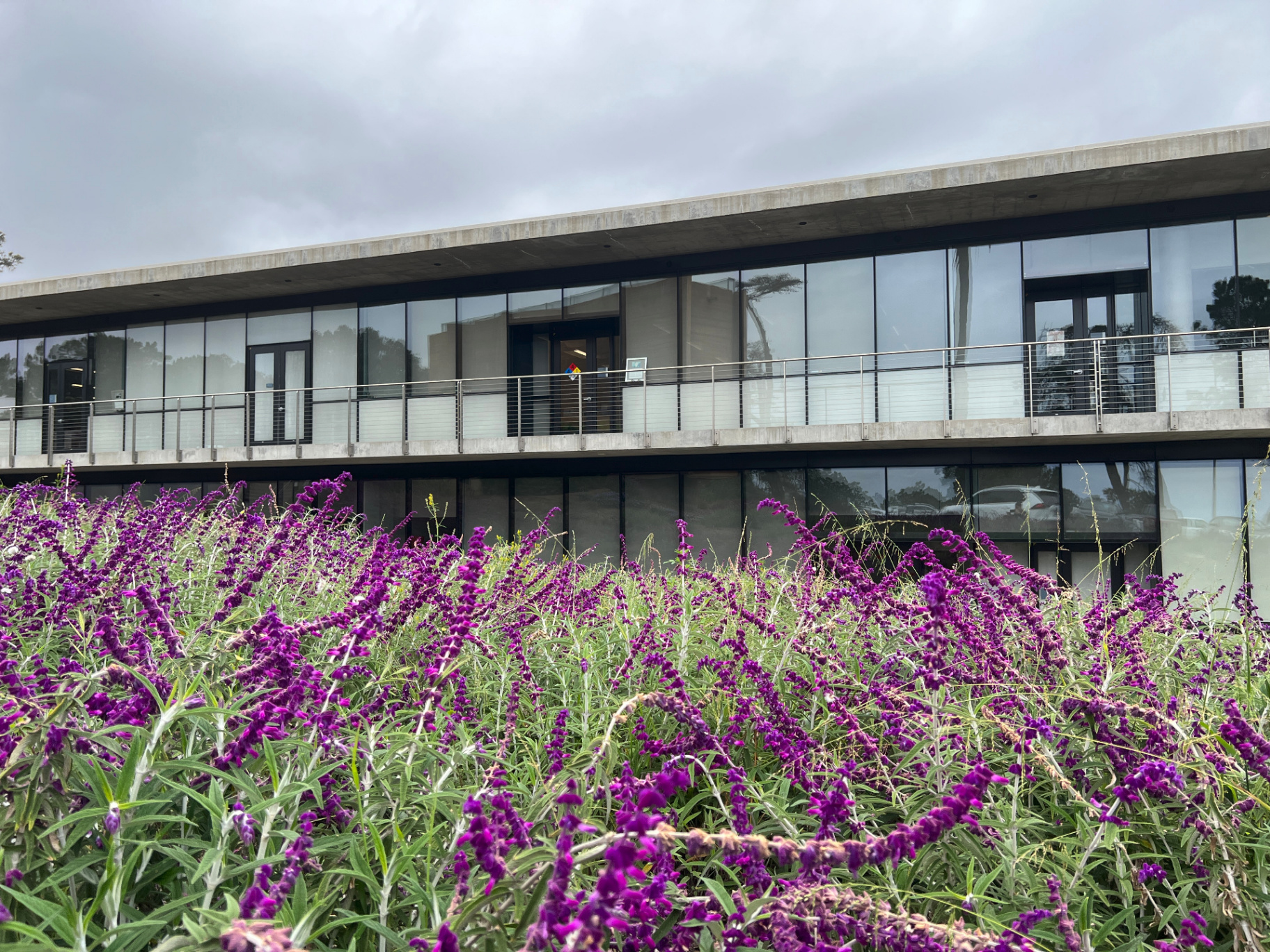 Point Loma Nazarene University Chapel installed landscape - Point Loma, San Diego