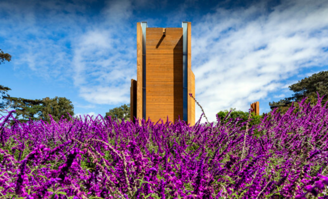 Point Loma Nazarene University Chapel installed landscape - Point Loma, San Diego