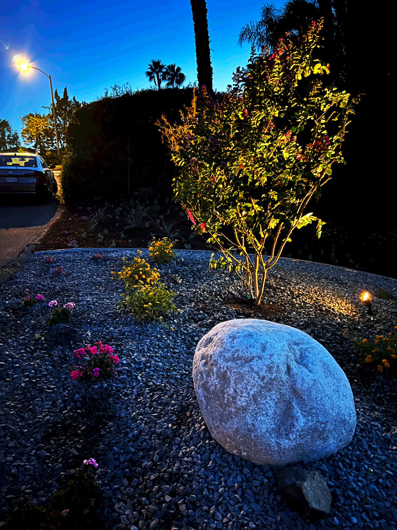 'Flowing Harmony' in Poway installed landscape - Poway, San Diego