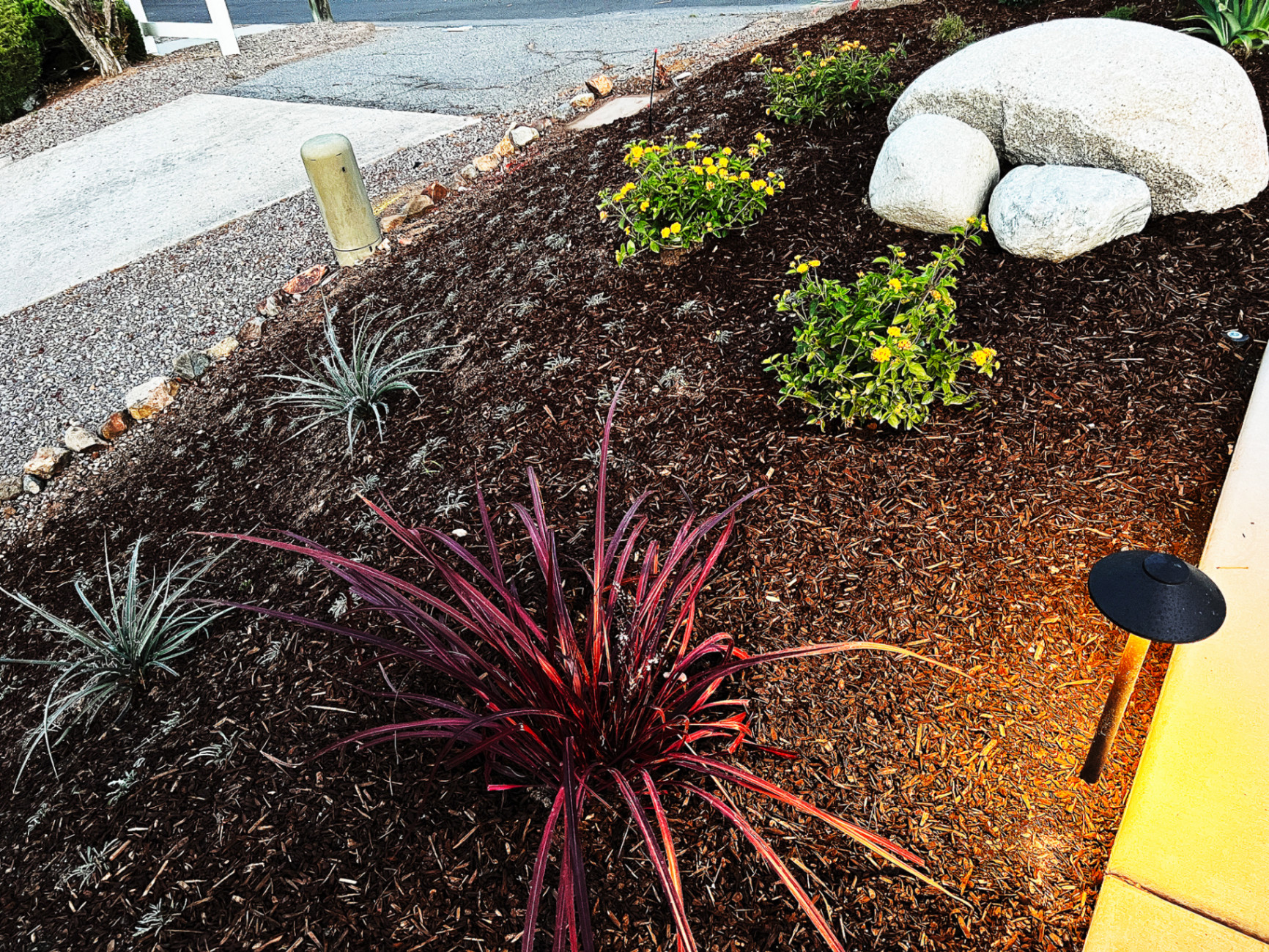 'Flowing Harmony' in Poway installed landscape - Poway, San Diego